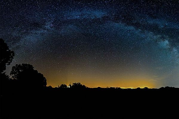 iUser_10\webG_Natura\a strange milky\001.jpg
