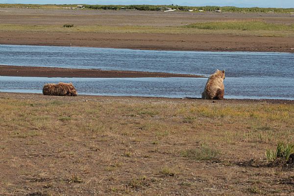 iUser_10\webG_Natura\alaska\007.jpg