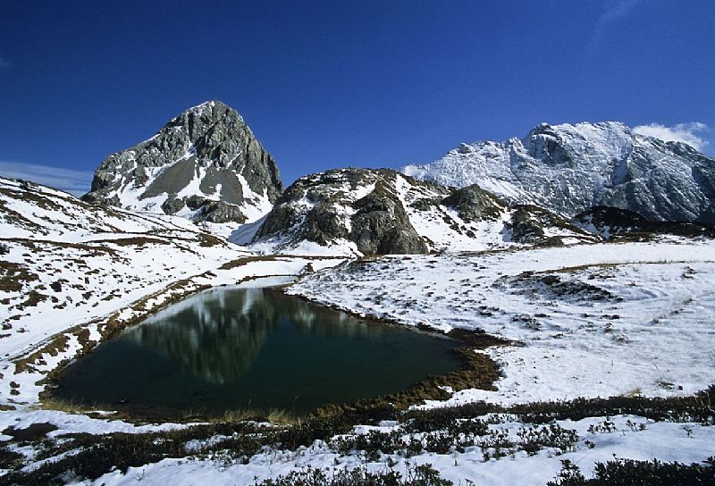 ASPETTI NATURALISTICI DELL'AMBIENTE MONTANO